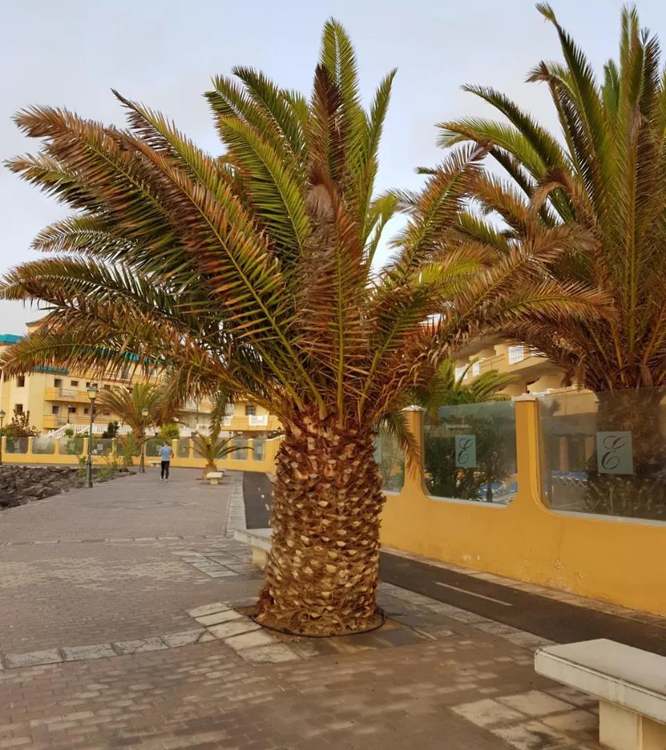 Apartament Caleta Amigos 6B Caleta De Fuste